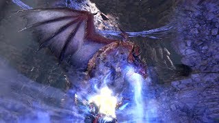 MHW Iceborne  Adult Xenojiiva Boss Fight Safijiiva [upl. by Tirrag794]