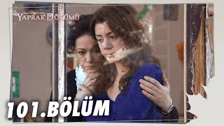 Yaprak Dökümü 101 Bölüm  Full Bölüm [upl. by Prospero]