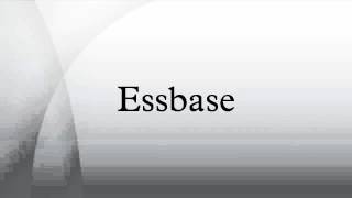 Essbase [upl. by Otineb536]