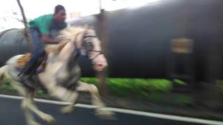 Horse riding Wajid naik [upl. by Gerrilee]