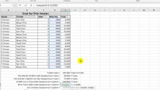 Excel Bir veya Birden Çok Kritere Göre Toplama İşlemi Etopla ve Çoketopla Formülleri [upl. by Adnauq]