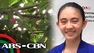 Young scientist finds potential diabetes cure in aratiles  TV Patrol [upl. by Elwyn680]