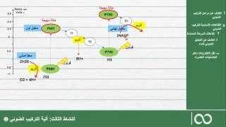 اولى باكالوريا SVT  آلية التركيب الضوئي تفاعلات المرحلة المضاءة تفاعلات المرحلة المظلمة [upl. by Januarius]