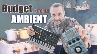 Microfreak Ambient Tutorial [upl. by Rafaelof]