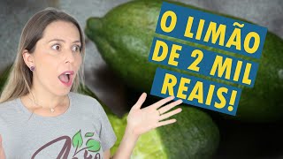 Conheça o LIMÃO CAVIAR e o LIMÃO DOCE  Frutas exóticas e surpreendentes [upl. by Aisinut920]