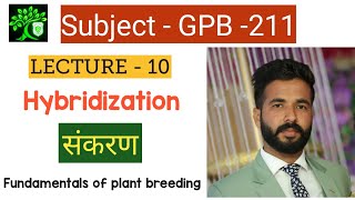 Hybridization  GPB 211  Hybridization in Hindi  संकरण  Bsc Agriculture 2nd year plant breeding [upl. by Rempe454]