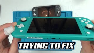 Trying to FIX Water Damaged Nintendo Switch Lite from eBay [upl. by Adnema]