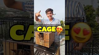 New Cage For Cats 💀😍  Mini Vlog shorts minivlog ashortaday vlog tranding cats [upl. by Annahoj]