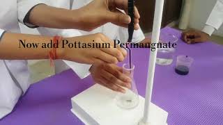 ChemistryPracticalTitration Mohrs saltKMnO4 Class 12Important Practical for CBSE [upl. by Ilwain675]