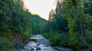 Creekside Solitude at Lolo Creek Weippe Idaho [upl. by Hoj151]