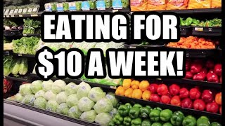 HOW TO EAT FOR 150 A DAY  Emergency Extreme Budget Grocery Haul 2020 with Frugal Fit Mom [upl. by Bevan]