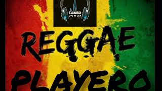 🇻🇪 MIX REGGEA PLAYERO AL ESTILO DE DJ ALEX MIX Ft DJ EDUARDO OCHOA VENEZUELA 🇻🇪 [upl. by Nathanael984]