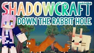 Down the Rabbit Hole  Shadowcraft 20  Ep18 [upl. by Wadell484]