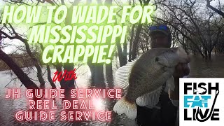 Wading for Crappie in Mississippi Fish Eat Live [upl. by Acimaj]