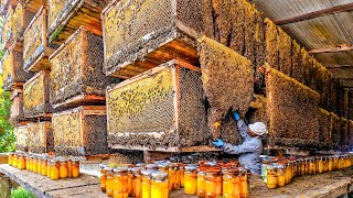 How Biggets Bee Farms Raise Billions Bees And Process Millions Tons Of Honey  Honey In Factory [upl. by Lauraine591]