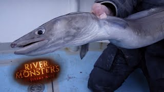 Catching A Lively Conger Eel In Southern England  EEL  River Monsters [upl. by Stefanac]