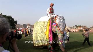 Visitors take pictures of decorated elephants during Jaipur hathi parade [upl. by Iinde]