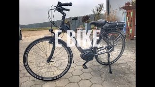 Kettler Traveller EGold EBike  Bordcomputer Test [upl. by Eseerehs]