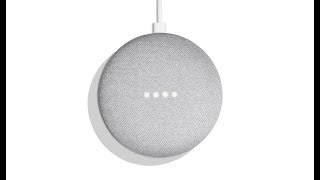 Google Home Mini Australianisms [upl. by Nosneh]