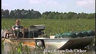 Crawfish Aquaculture in the South [upl. by Oirram466]