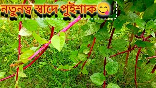 😍😍এভাবে পুই শাক রান্না করলে নিমিষেই এক থালা ভাত শেষ হয়ে যাবে।Basella fry [upl. by Lrub]