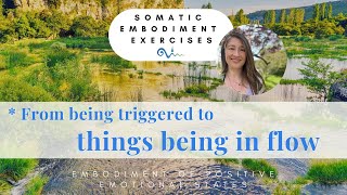 From being triggered to things being in flow  Somatic embodiment exercise for stress relief [upl. by Naujej]