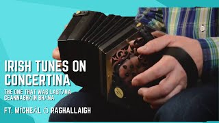 The One that was LastNa Ceannabháin Bhána  Irish tunes on Concertina  McNeela Instruments [upl. by Nwotna]