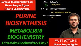 Purine Synthesis  Biochemistry  Purine Metabolism Video [upl. by Iaria666]