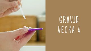 Gravid vecka 4 [upl. by Vinaya]