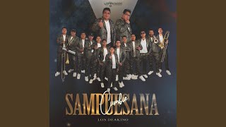 Cumbia Sampuesana [upl. by Oer]