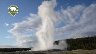 Old Faithful Geyser in Yellowstone National Park [upl. by Alleb548]