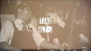 Taro  AltJ  Lyrics amp Explanation [upl. by Cotterell]