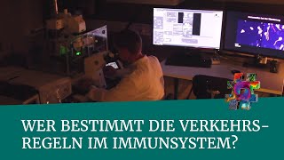 Wer bestimmt die Verkehrsregeln im Immunsystem – Freiburg – wonachsuchstdu [upl. by Ynnus]