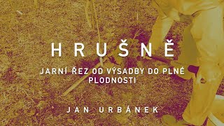 Jarní řez hrušky – od výsadby do plné plodnosti [upl. by Weil911]