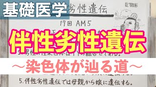 【解説】よくわかる伴性劣性遺伝。 [upl. by Ratib]