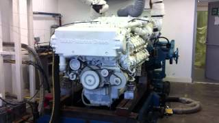 MAN Marine Diesel Engine D2842LE433 1550HP [upl. by Auof103]