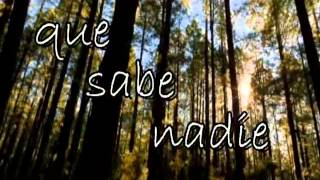 Que sabe nadie  Versión Salsa [upl. by Johann]