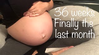 Pregnancy Update 36 week bump update [upl. by Zins]