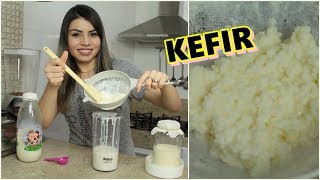 KEFIR MANUAL DO INICIANTE COMO CUIDAR DO KEFIR DE LEITE  PALOMA SOARES [upl. by Pachston122]