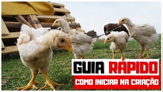 Tutorial RÁPIDO para criação de galinha POEDEIRA [upl. by Boesch]