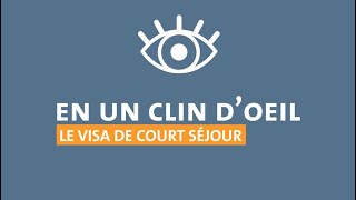 Le visa de court séjour en Belgique  QuestionsRéponses QampA [upl. by Enilarak]