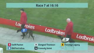 Crayford Greyhounds Races on 31st October 2024 [upl. by Eartnoed506]