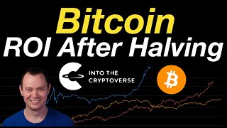 BTC ROI After Halving [upl. by Nahum]