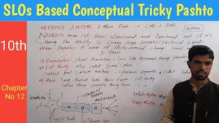 20 Neuron structure Dendrites  cell body  Axon  Myelin sheath biology in pashto [upl. by Wenn]