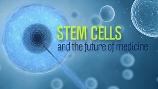 Stem Cells and the Future of Medicine  Research on Aging [upl. by Nonie]