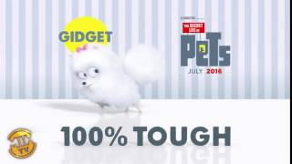 Meet Gidget  The Secret Life of Pets [upl. by Chak]