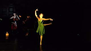 Spring The Four Seasons Max Richter Ballet [upl. by Elden2]