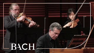 Bach  Harpsichord concerto in F minor BWV 1056  Henstra  Netherlands Bach Society [upl. by Hanafee]