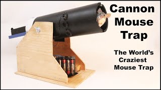 Cannon Mouse Trap  The Worlds Craziest Mouse Trap Mousetrap Monday [upl. by Eddi]