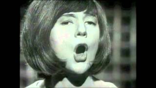 Cilla Black  Youre My World  live TV performance May 1964 [upl. by Euqinna]